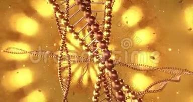 带有DNA分子漩涡的<strong>金色几何背景</strong>。 3D染循环4k